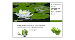 Desktop Screenshot of moldenaprapati.no